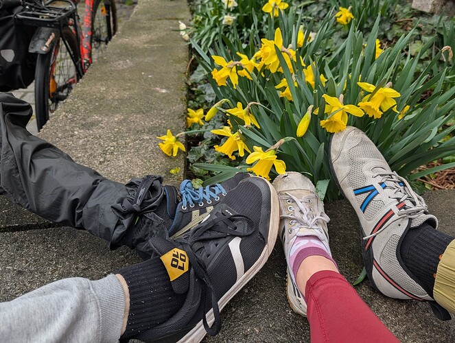 PXL_20260329_111920845