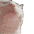 :catjam: :catjam: