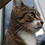 Paul_Wilbert